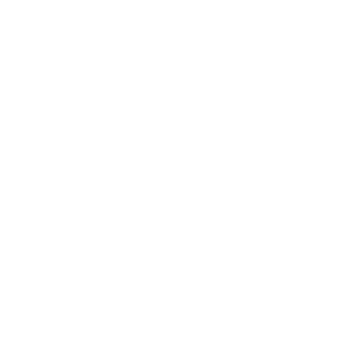 boat icon
