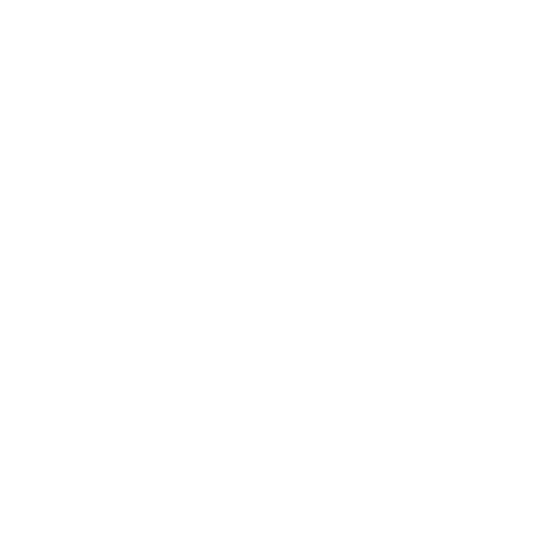 shield icon